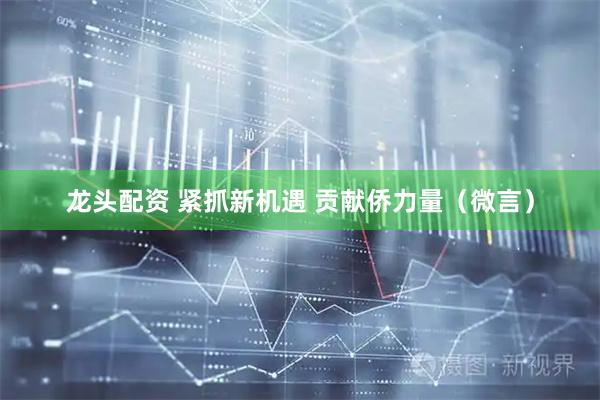 龙头配资 紧抓新机遇 贡献侨力量（微言）