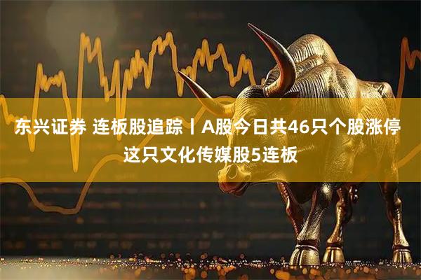 东兴证券 连板股追踪丨A股今日共46只个股涨停 这只文化传媒股5连板